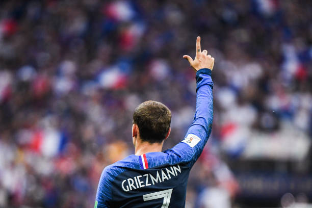 成长发展的 成长发展的